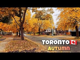 Beautiful Autumn Colors - Richmond Hill and Cozy Homes in Toronto area Walk 4K