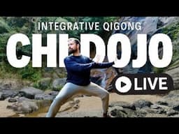 Chi Dojo: Integrative Qigong | Live Qigong Class with Nick Loffree