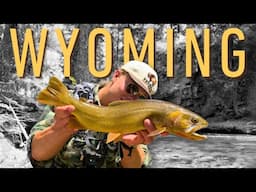 The best cutthroat in the West | 4-day Wyoming backcountry fly fishing