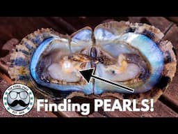 From Oyster to Treasure: Gorgeous Pearl Reveals! (Reveals 17260 - 17283)