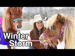 Horses In The Snow & Winter Week Barn Vlog