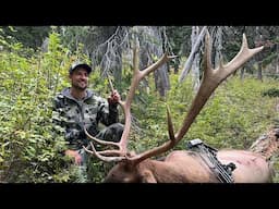 Didn't Go 5!!! Idaho Archery Elk Hunt - Stuck N The Rut 192