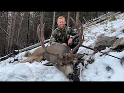 Calling Big Bucks!!! Mule Deer Hunting - Stuck N The Rut 197