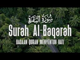 SURAH AL BAQARAH | Setan Kabur dari Rumah | Penenang Hati dan Pikiran | Erwiyanto