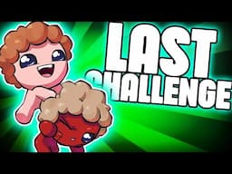 THE LAST CHALLENGE