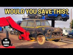 Field Find Minis | Would You Save Them? Barn Find Cars For Sale