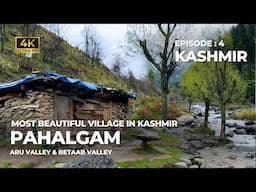 Kashmir Part 4 | The most beautiful village | Pahalgam | Aru & Betaab Valley | Vlog #80