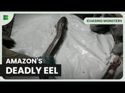 Hunting Brazil’s Electric Eels - Chasing Monsters - Nature & Adventure Documentary