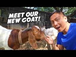 We Got A New Goat! 🐐 | Vlog #1768