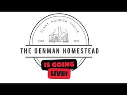 The Denman's Are Going Live 6pm CST