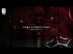 AVLM & Sacerdos Vigilia - Damaged Capacitor