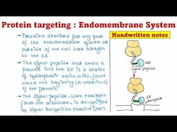 Protein targeting | Endomembrane system