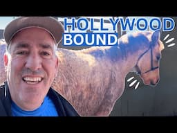 It Happened So Fast | Navajo Rescue Horse