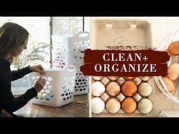 Clean & Organize with me ft Laundry Organization with Cricut