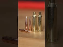 Hornady NEW 2025 Offerings in 25 caliber!