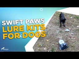 Review: Swift Paws Lure Kits for Dogs