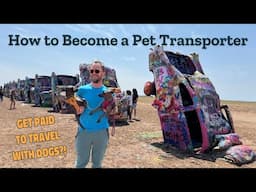 EVERYTHING You Need to Know to Become a Pet Transporter! | Georgia to California w/ Pro Transporter