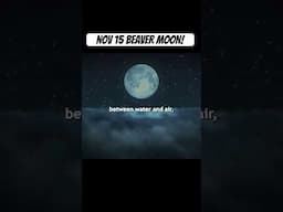 November 15th BEAVER MOON for CHOSEN ONES