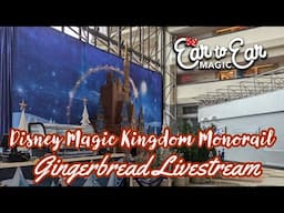 Experience The Magic Of Disney World Live - Monorail Resorts Christmas Tour Livestream 11.13.24