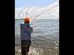 Throwing a Cast Net  #shorts