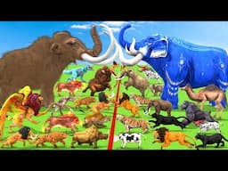 Modern Mammals vs Cenozoic Beasts Size Comparison Mammoth T-Rex Vs Elephant Tiger Animal Epic Battle