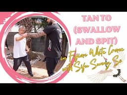 Tan To (Swallow and Spit) in Fujian White Crane with Sifu Sunny So