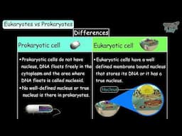 Cell | Comparing between Prokaryotic and Eukaryotic Cells | Types of Cells