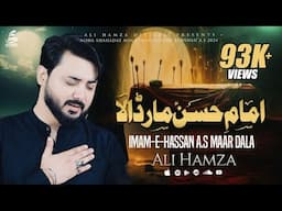 Imam E Hassan Maar Dala | Ali Hamza | 28 Safar Exclusive Kalam | Noha | 2024