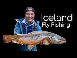 Fly Fishing Iceland: Where to Go & What to Catch!