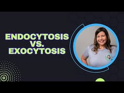 Endocytosis vs. Exocytosis