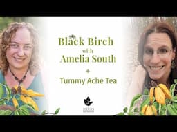 Black Birch with Amelia South + Tummy Ache Tea