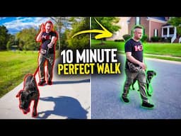 Stop Leash Pulling in Under 10 Minutes!