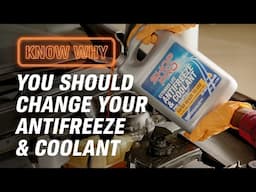 Why Do You Need to Change Your Antifreeze & Coolant?