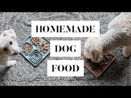 🐶  Easy, Balanced Homemade Dog Food | ajadang