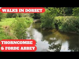 WALKS IN DORSET at THORNCOMBE & FORDE ABBEY (& THE RIVER AXE) (4K)