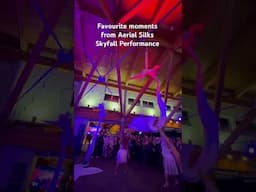 Aerial silks performance Whistler Blackcomb Foundation Gala 2024 #aerial #aerialsilks #aerialist