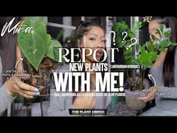 HILARIOUS Q&A | REPOT WITH ME! • LOW MAINTENANCE WAY TO GROW HEALTHY HOUSEPLANTS