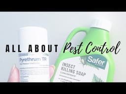 All About Pest Control