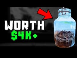 I Made Thousands Of Dollars With a Jar Of Dirt