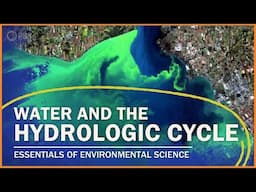 The Water Cycle and Water Pollution | Essentials of Environmental Science