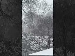 Snow falls in Highland, Indiana