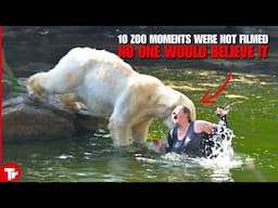 If These Wild Animals Zoo Moments Were Not Filmed, No One Would Believe It