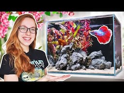 Making A Spring Betta Fish Tank [With Red Plants!]