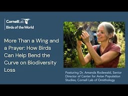 How Birds Can Help Bend the Curve on Biodiversity Loss feat Dr. Amanda Rodewald | Birds of the World