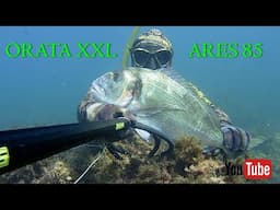 pescasub | ORATA XXL di ottobre Prima della Perturbazione - ARES 85 Fishing in Italy