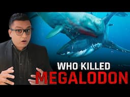 Why MEGALODON Got Extinct? Does the Megalodon Still Exist?