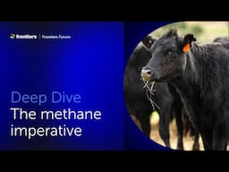 Drew Shindell and colleagues | The methane imperative