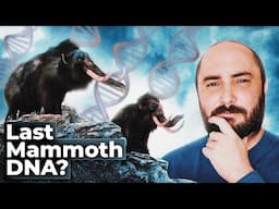 The Strange DNA of the last mammoths