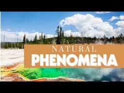 Natural Phenomena's Workshop