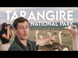 Tanzania Safari VLOG - Arusha to Tarangire National Park